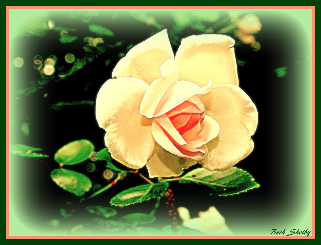 "A rose, by any other name, would smell as sweet." by vernabeth