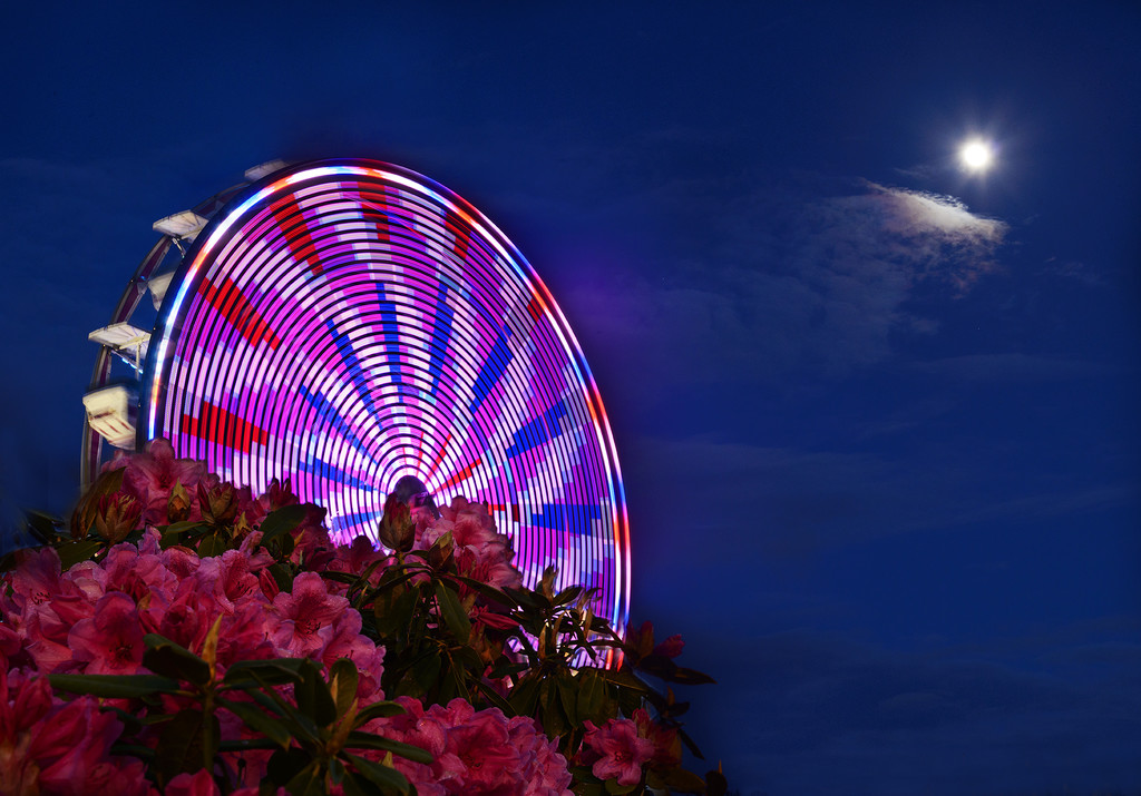 Rhody Days Ferris Wheel by jgpittenger