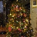 O Christmas Tree by sourkraut