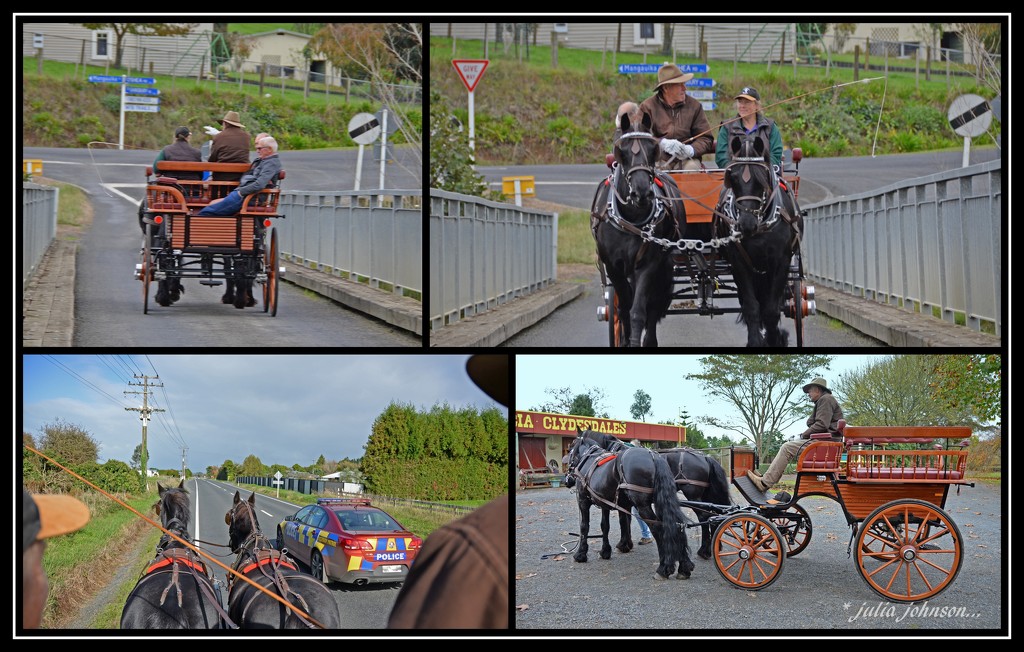 A Jaunt in a Horse and Cart... by julzmaioro