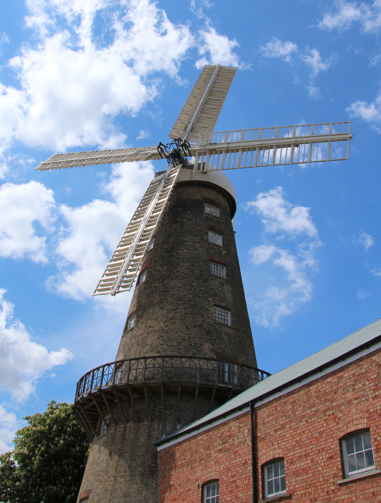 Moulton windmill by busylady