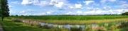 23rd May 2016 - Marsh and wetlands near the Ashley River, Charleston, SC