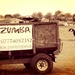 Zumba Cows by ajisaac