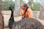 23rd May 2016 - Old Man Emu