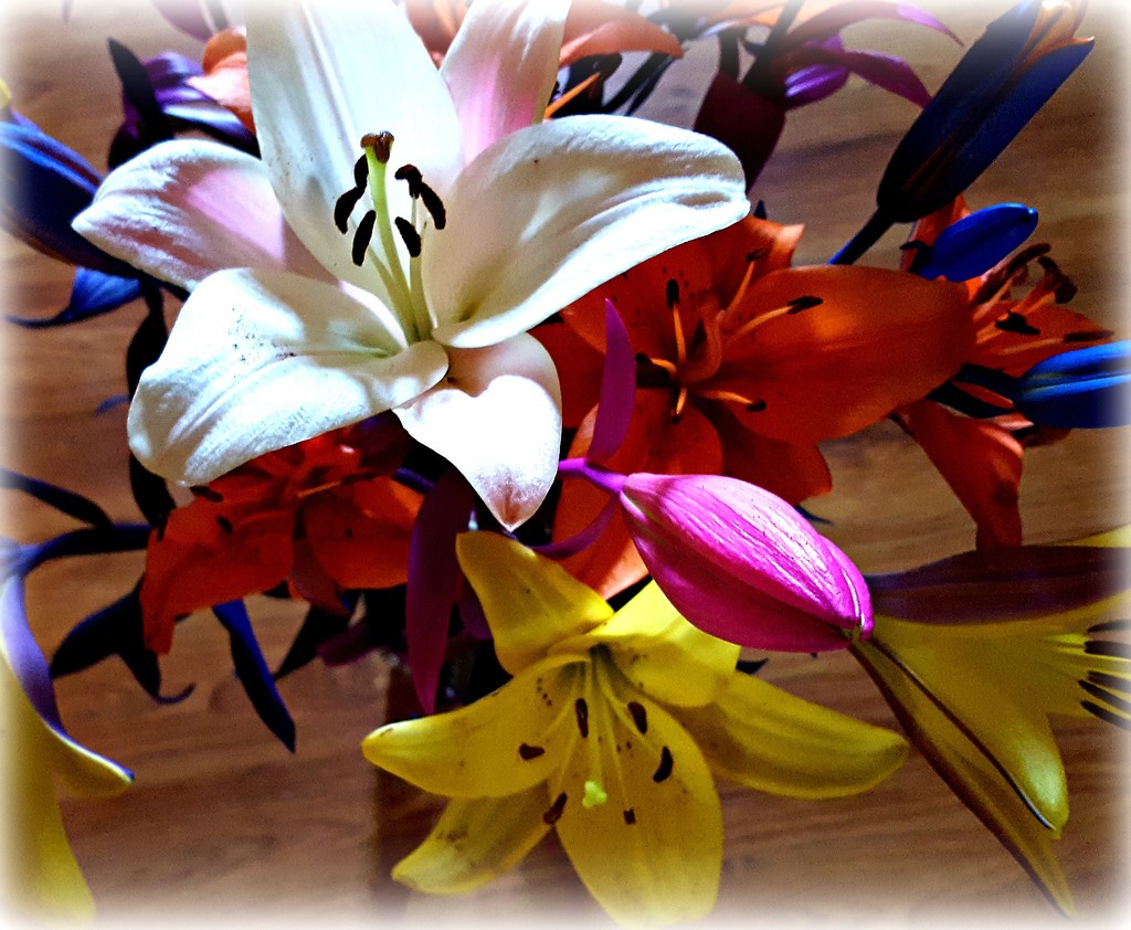 Colorful Bouquet of Lilies by jo38