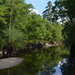 Four Holes Swamp near its confluence with the Edisto River, Dorchester County, South Carolina by congaree