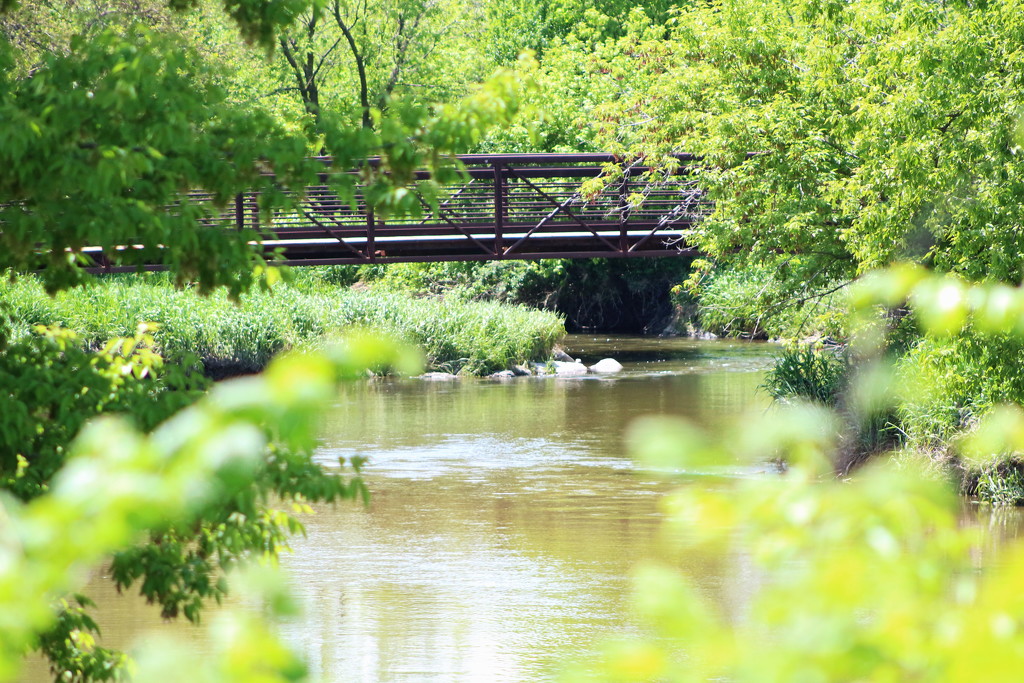Bridge Over Creek by randy23