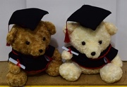 25th May 2016 - Graduation Bears....