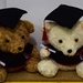 Graduation Bears.... by happysnaps