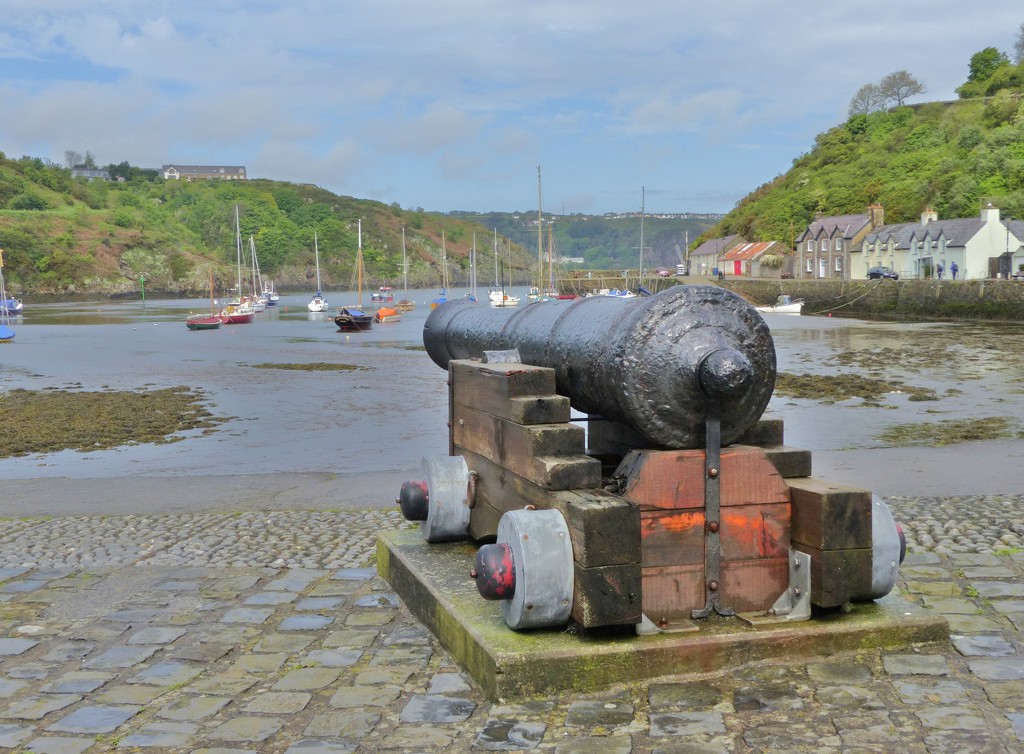  Fishguard Harbour, Pembrokeshire by susiemc