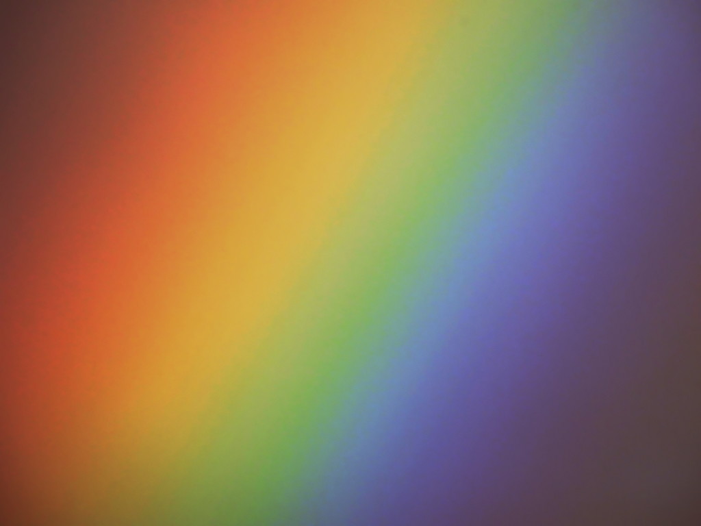 Rainbow by nickspicsnz