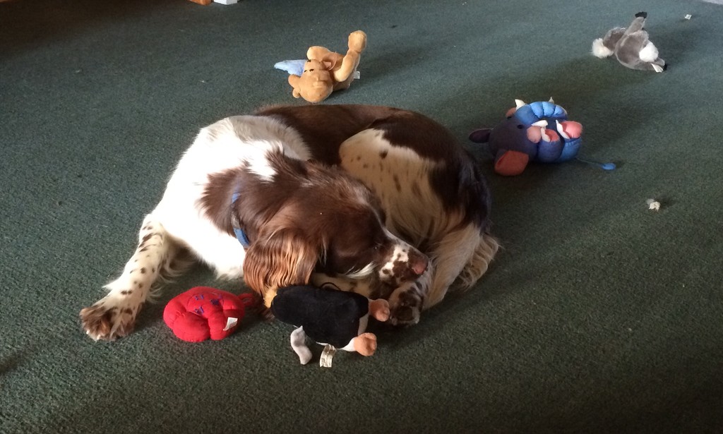 NO I won't pick up my toys too tired by Dawn