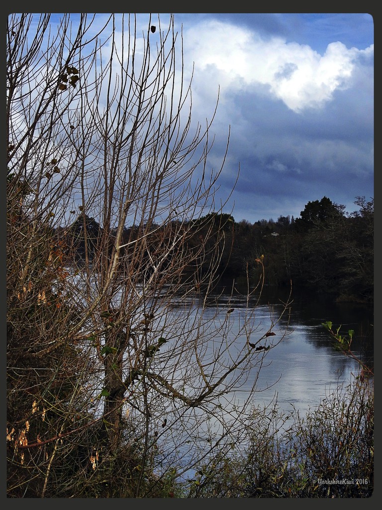 A wintery Waikato river by yorkshirekiwi