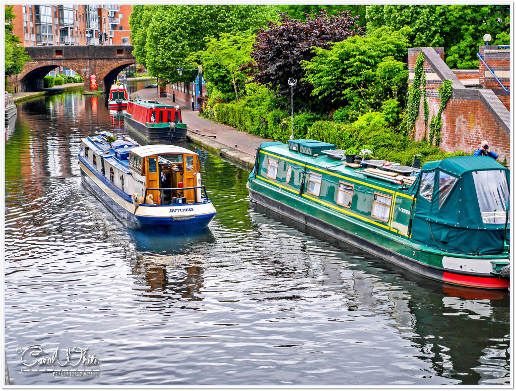 Dog Watch On The Canal by carolmw