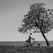 Man, Bike, Tree! by ukandie1