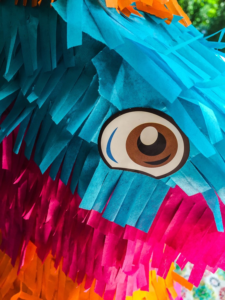 Piñata by cocobella