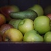 apples and pears in a box by quietpurplehaze