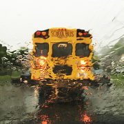 26th May 2016 - Following The School Bus In The Rain