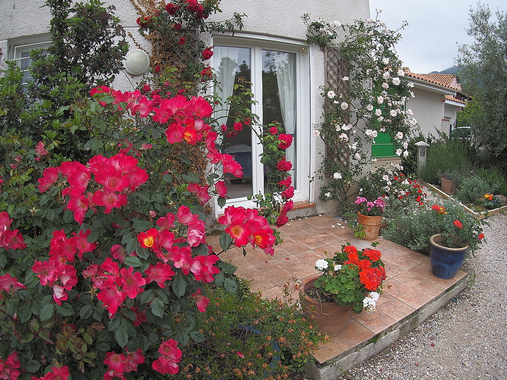 Rose garden by laroque