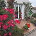 Rose garden by laroque