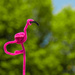 (Day 103) - Mr. Flamingo by cjphoto