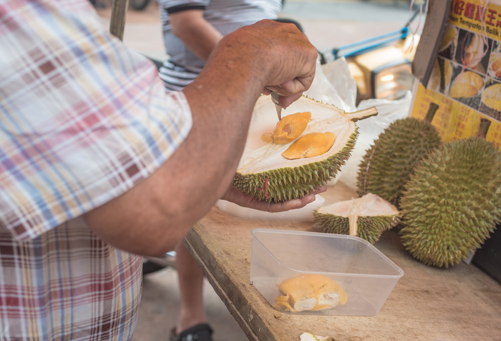 Local Durian by ianjb21
