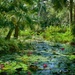 McKee Jungle Gardens by eudora
