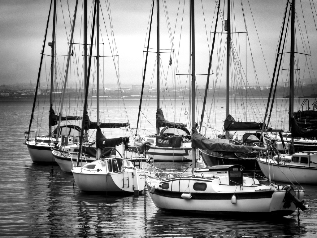 More boats by frequentframes