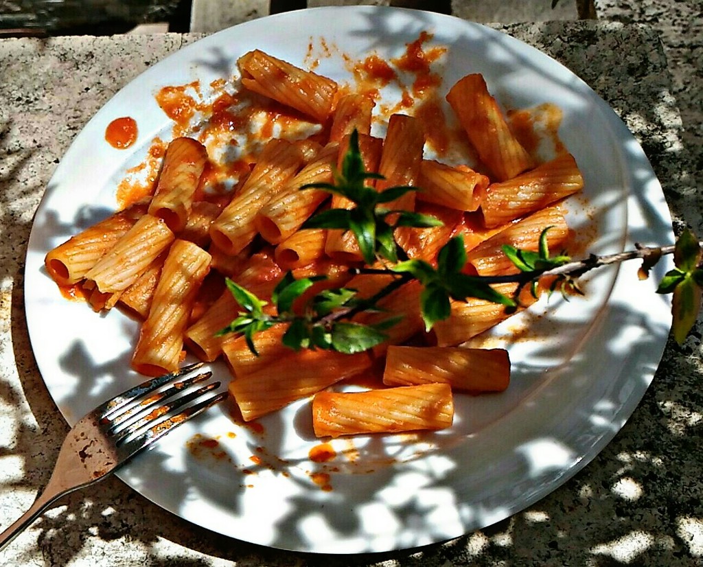 Sunday, sunshine and macaroni! by frappa77