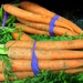 Bunnies eat carrots! by homeschoolmom