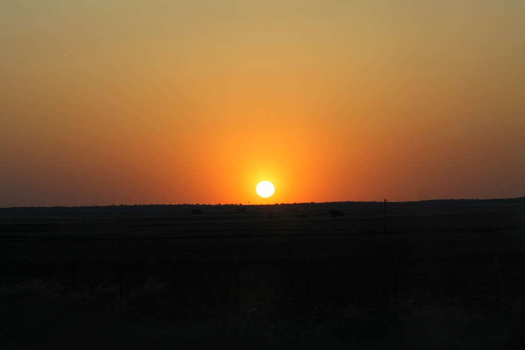 West Texas Sunset by judyc57