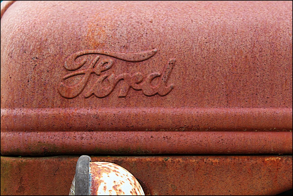 Ford by olivetreeann