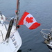 Harbour Flags #9  by lifeat60degrees