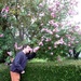 Lilac bush by g3xbm