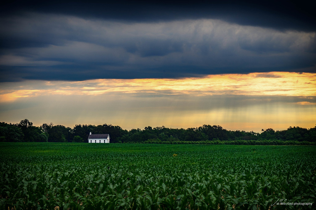 Fields in Storm by jae_at_wits_end