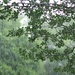 Rain, Rain.  Go away! by judyc57