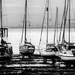 Close up - boats in harbour by frequentframes