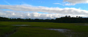 1st Jun 2016 - Sky, marsh and clouds, Charles Towne Landing State Historic Site, Charleston, SC