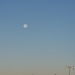 Morning Moon by jnadonza