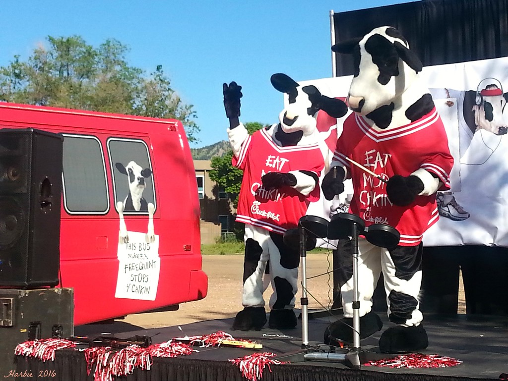 The Chik Fil A Dancing Cows by harbie