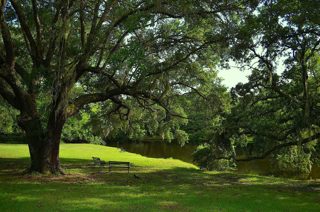 By the lake, Charles Towne Landing State Historic Site, Charleston, SC by congaree