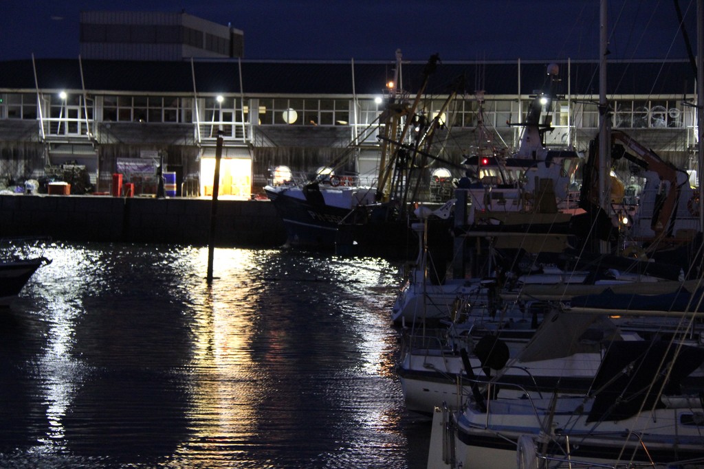 Harbour Lights by daffodill