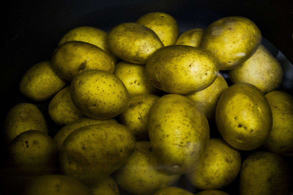 Potatoes by erinhull