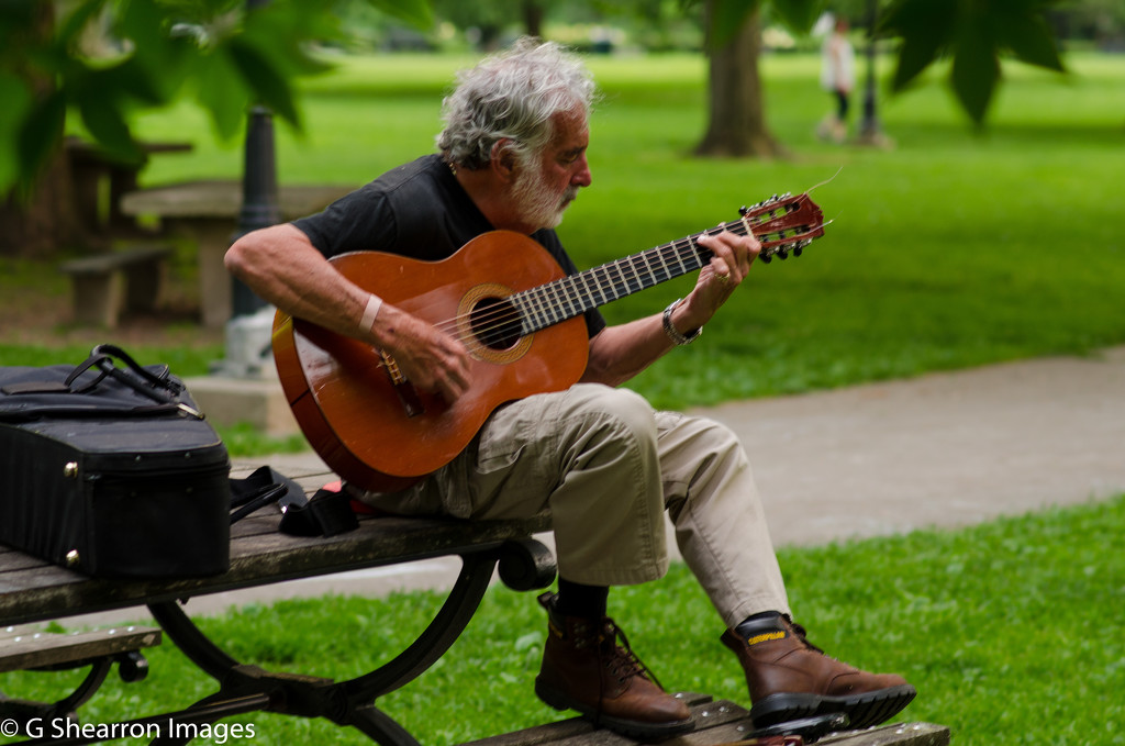 Park musician in his own little world by ggshearron