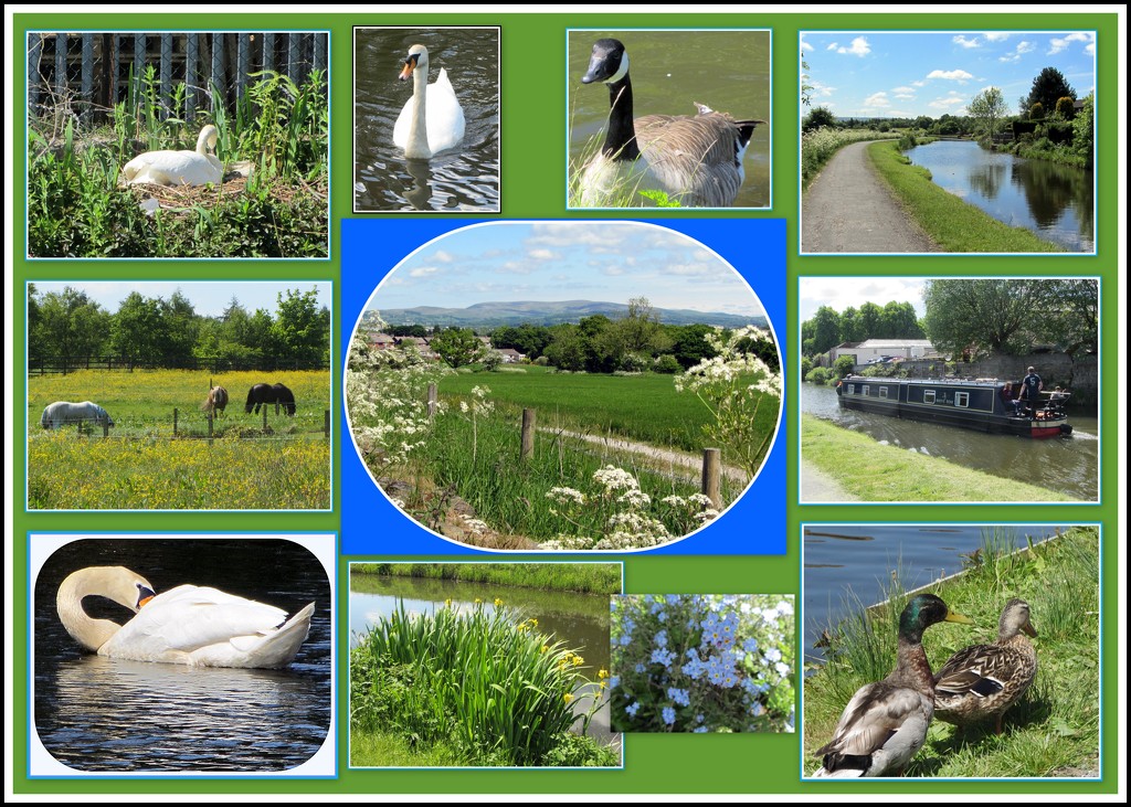  Rishton Canal Collage. by grace55