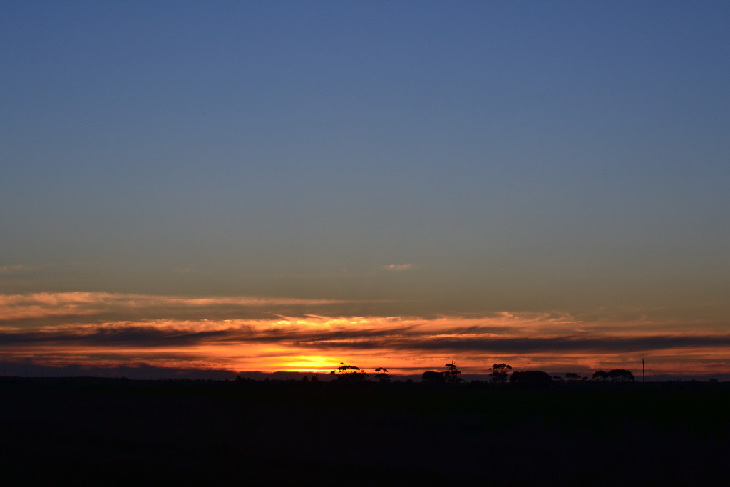 Shelford sunset by dianeburns