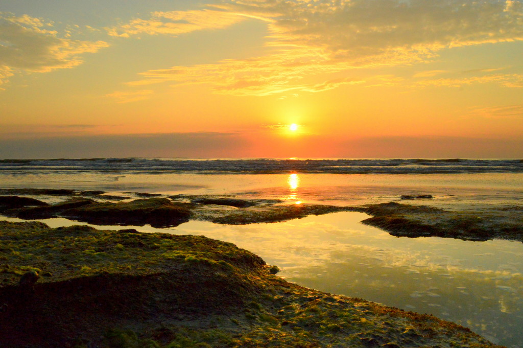 Sunrise at Palm Coast by kareenking