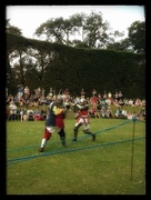 29th May 2016 - Medieval jousting