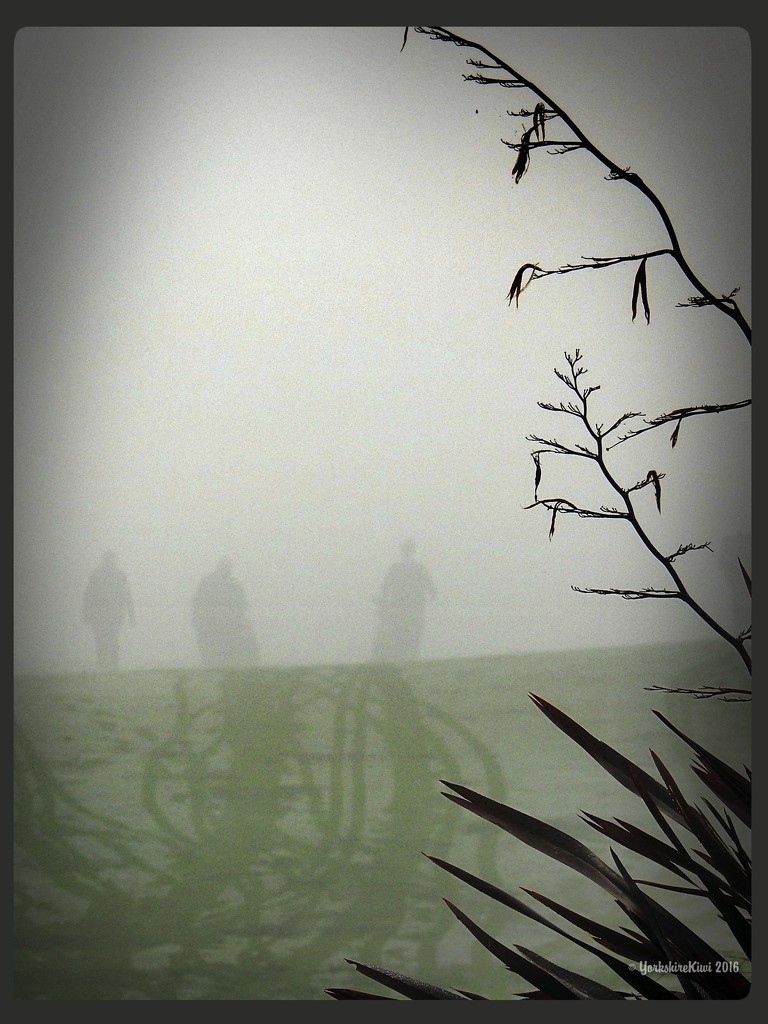 Golf in the Fog by yorkshirekiwi