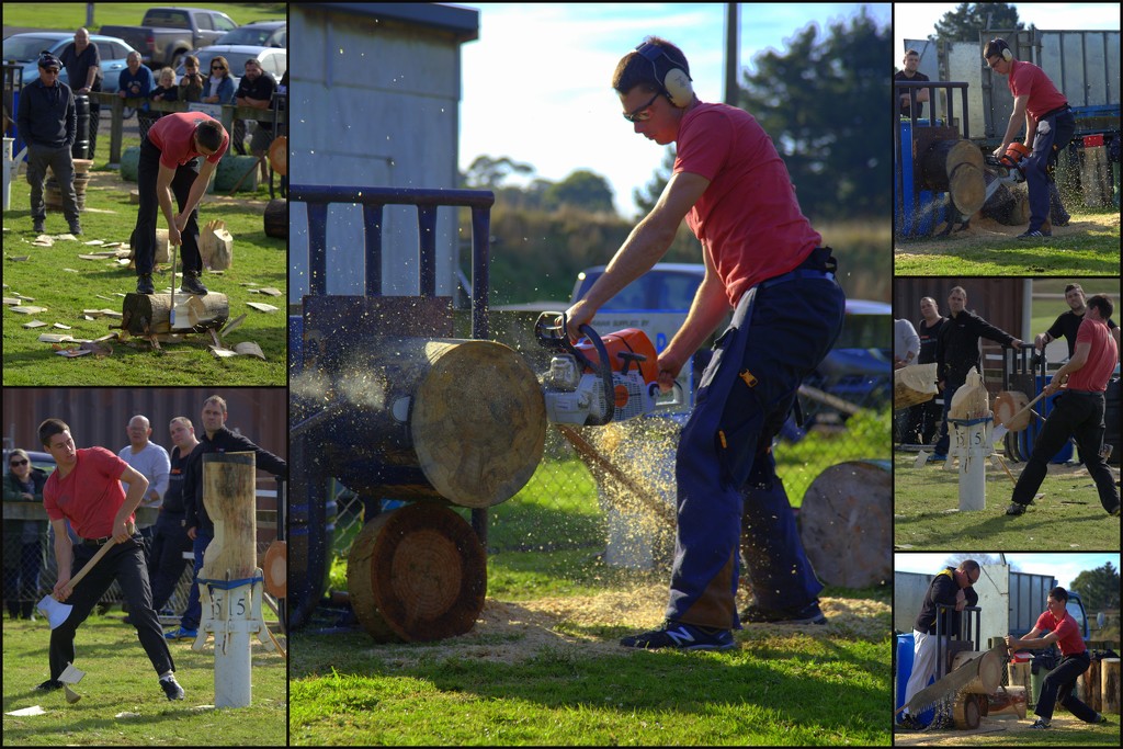 Woodchopping by dide